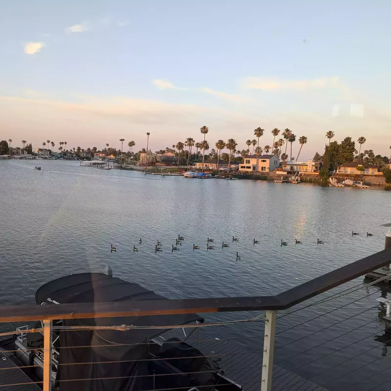 Lido Ducks